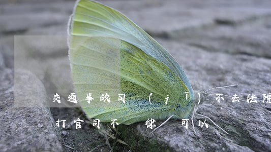 交通事故司機(jī)不去法院可以嗎(車禍打官司不請律師可以嗎)
