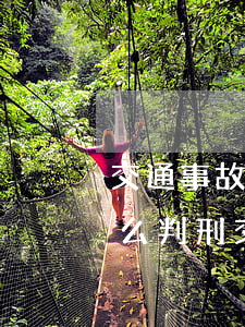 交通事故各負(fù)一半責(zé)任怎么判刑(交通事故各負(fù)一半責(zé)任怎么判刑)