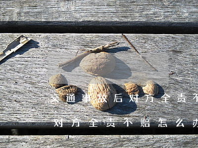 交通事故后对方全责不去赔偿(遇到交通事故对方全责不赔怎么办)