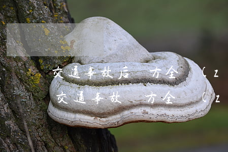 交通事故后對方全責(zé)但一直不賠償(交通事故對方全責(zé)保險(xiǎn)公司不賠償如何處理)