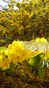 交通事故后對方全責但一直不賠償(交通事故對方全責保險公司不賠償如何處理)