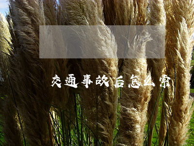 交通事故后怎么索賠