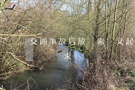 交通事故后放棄索賠又起訴，法院為何支持該賠償請求