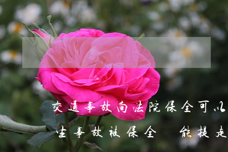交通事故向法院保全可以取車嗎(發(fā)生事故被保全車能提走嗎?)
