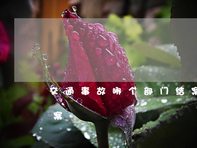交通事故哪个部门结案(交通事故人伤怎么结案)