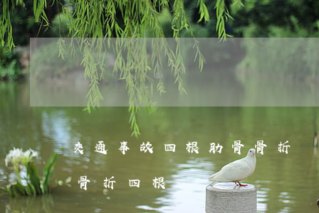 交通事故四根肋骨骨折賠償表(交通事故肋骨骨折四根幾級傷殘)