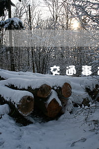 交通事故在哪個法院都可以起訴嗎