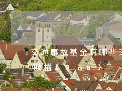 交通事故基金有哪些(交通事故救助基金管理機構(gòu))