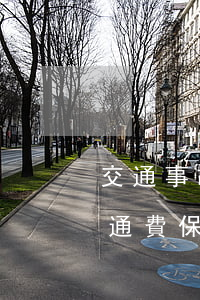 交通事故報了報銷還要出錢嗎(車輛出險后,交通費保險公司給報銷嗎)