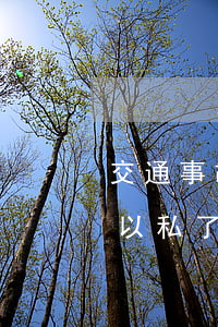 交通事故報警可以私了(交通事故報警以后可以私了嗎)