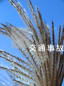 交通事故处理找律师(交通事故处理找律师)