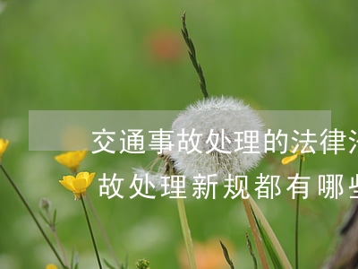交通事故处理的法律法规变化历程(交通事故处理新规都有哪些变化)