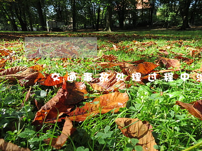交通事故处理过程中涉及的处理是怎样的