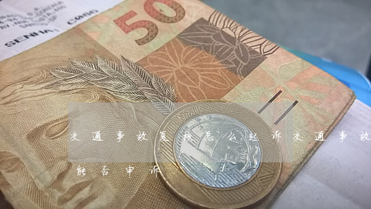 交通事故复核怎么起诉(交通事故责任复核后能否申诉)