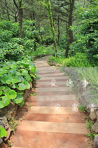 交通事故多久傷殘鑒定合適(交通事故傷殘鑒定需要多長時(shí)間能出來)