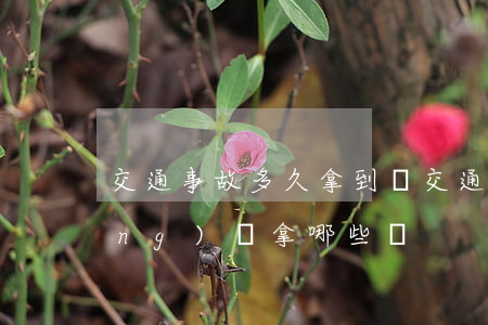 交通事故多久拿到錢(交通事故車主應(yīng)該拿哪些錢)