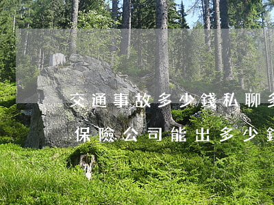 交通事故多少錢私聊多少錢走保險(違章事故保險公司能出多少錢)