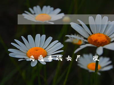 交通事故女尸處理(車禍死亡女孩)