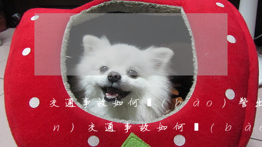 交通事故如何報(bào)警(出現(xiàn)交通事故如何報(bào)警)