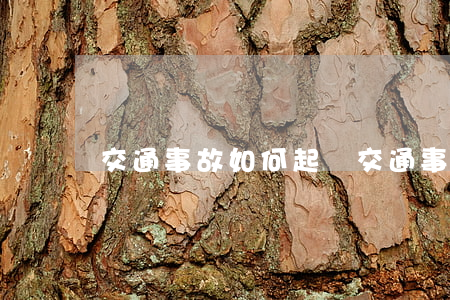 交通事故如何起訴(交通事故如何起訴)