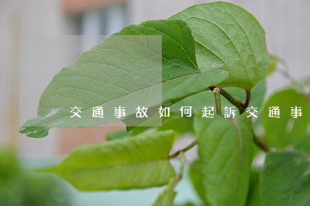 交通事故如何起訴，交通事故如何起訴索賠
