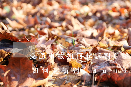 交通事故如何起訴對(duì)方(交通事故如何起訴對(duì)方,需要對(duì)方什么)