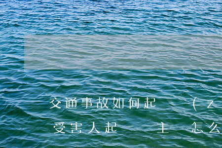 交通事故如何起訴責(zé)任方(交通事故受害人起訴車主該怎么辦)