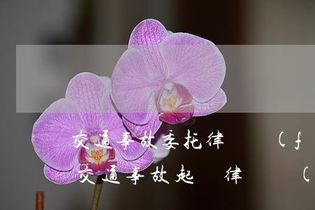 交通事故委托律師費(fèi)用包含什么(交通事故起訴律師費(fèi)用誰(shuí)來(lái)承擔(dān))