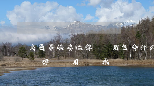 交通事故委托律師費用包含什么(交通事故起訴律師費用誰來承擔)