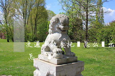 交通事故委托書怎么寫(出了交通事故委托書怎么寫)