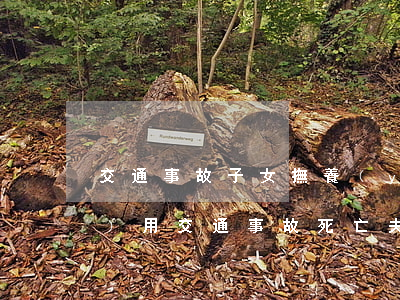 交通事故子女撫養(yǎng)費(fèi)用(交通事故死亡夫妻之間有撫養(yǎng)費(fèi)嗎)