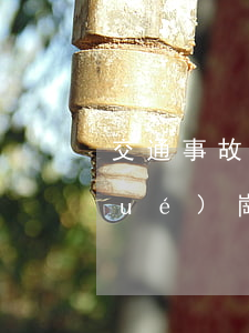 交通事故學(xué)生護(hù)學(xué)崗(護(hù)學(xué)崗報(bào)道)