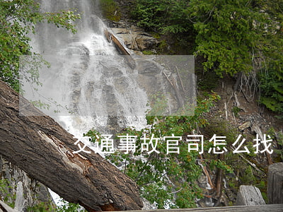 交通事故官司怎么找