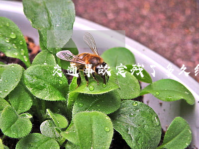 交通事故定残了多久结案赔偿