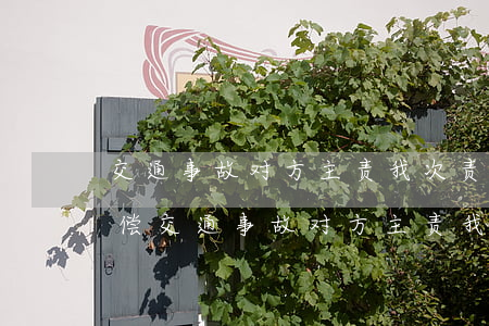交通事故对方主责我次责还碰坏护墙如何赔偿,交通事故对方主责我次责如何赔偿损失 交通事故对方主责我次责还碰坏护墙如何赔偿,交通事故对方主责我次责如何赔偿损失