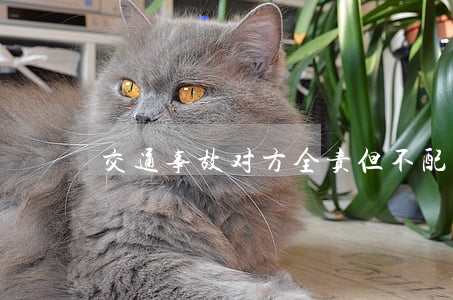 交通事故对方全责但不配合