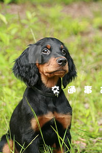 交通事故对方全责起诉需要什么材料