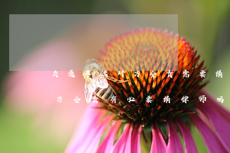 交通事故对方全责需要请律师吗(交通事故对方全责有必要请律师吗?)