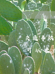 交通事故對(duì)方主要責(zé)任可以要求哪些賠償(交通事故對(duì)方主要責(zé)任可以要求哪些賠償法律依據(jù))