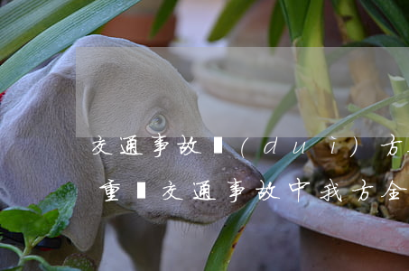 交通事故對(duì)方全責(zé)我方重傷(交通事故中我方全責(zé)怎么賠)