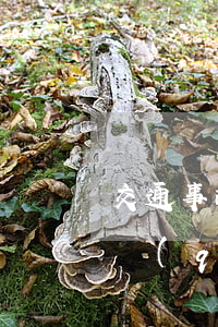 交通事故對(duì)方全責(zé)能申請(qǐng)工傷嗎(車禍本人有責(zé)任工傷還能賠嗎)