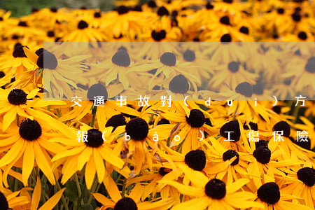 交通事故對(duì)方全責(zé)還能報(bào)工傷保險(xiǎn)嗎(交通事故自己全責(zé)受傷能要求對(duì)方賠付嗎?)