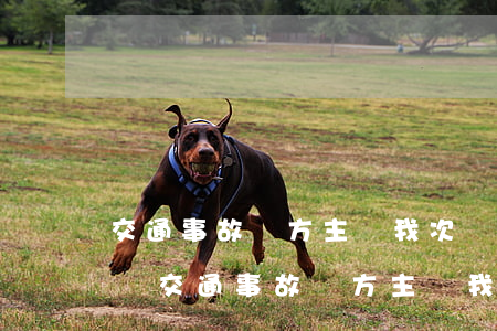 交通事故對方主責我次責還碰壞護墻如何賠償(交通事故對方主責我次責還碰壞護墻如何賠償)