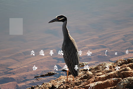 交通事故對方全責(zé)什么時候請律師合適(交通事故對方全責(zé)可以要求什么賠償)