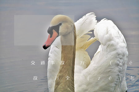 交通事故對方全責(zé)怎么起訴(交通事故對方全責(zé)怎么起訴他)