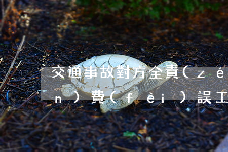 交通事故對方全責(zé)起訴停運(yùn)費(fèi)誤工費(fèi)樣表