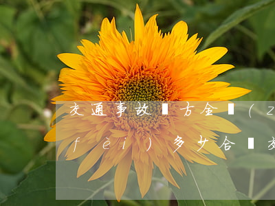 交通事故對方全責(zé)起訴后誤工費(fèi)多少合適(交通事故對方付主要責(zé)任誤工費(fèi)怎么辦)