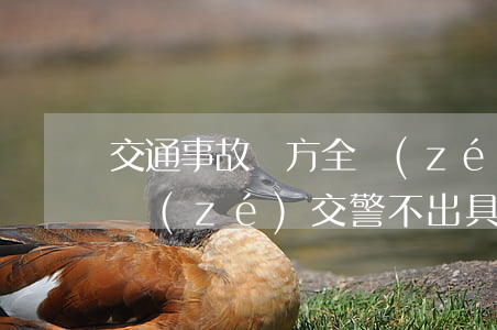 交通事故對方全責(zé)骨頭沒事(對方全責(zé)交警不出具事故責(zé)任書)