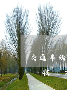 交通事故對方全責對方也要上訴(交通事故全責,被對方起訴,我要怎么應(yīng)訴)