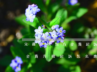 交通事故對方全責起訴書該怎么寫(交通事故全責方被起訴怎么應對)